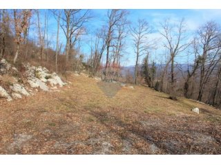 MATULJI - RUKAVAC - NEGRAĐEVINSKI TEREN 2349 m2 U BLIZINI NA