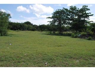 Property For Sale: Dover Pasture..