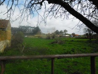 4 Bedrooms Farm For Sale - Aveiro