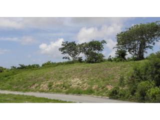 Property For Sale: Moncrieffe Lot, St...