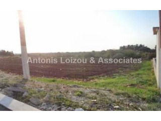 Agricultural field in Anarita For Sale..