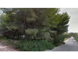 V1612 - Land Plot On Pinosol In Javea -..