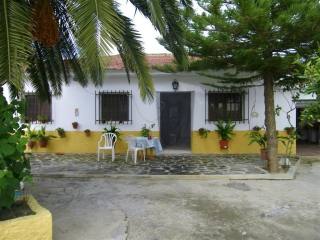 Villa - A typically Spanish finca that..