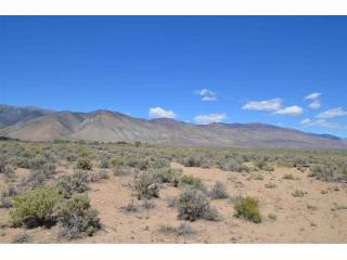Land For Sale: Smith, Nevada