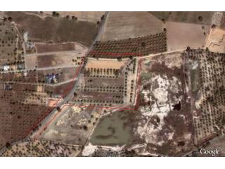 Land - For Sale - Nongpalai - EUR 828571