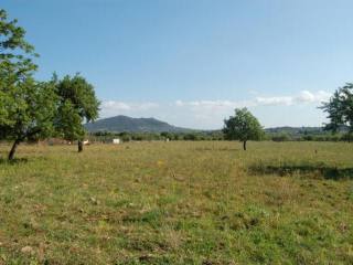 Building plot with project in Moscari