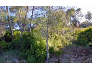 plot for sale in costa de la calma