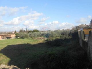 Istra, Vodnjan, građevinsko zemljište sa maslinikom
