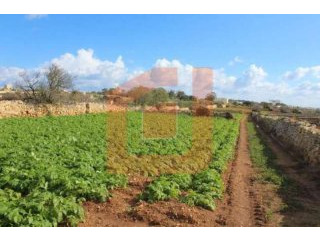 Site Attard, North For Sale