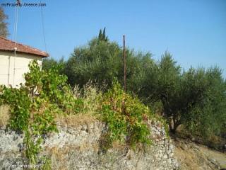 2 Bedrooms - Villa - Zakynthos - For..