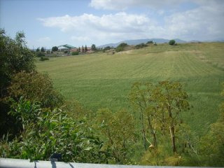Residential Land in Moni