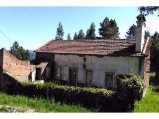 3 Bedroom Property With Land - Central..