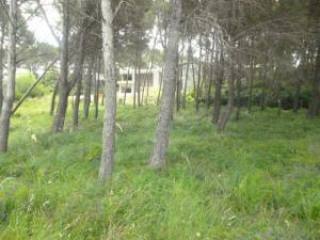 Boanire, plot for construction, near..