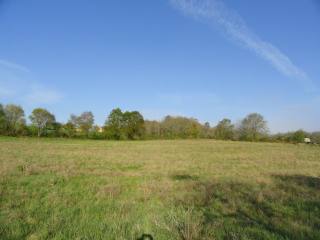 25137 - Vente - Terrain - Vergt