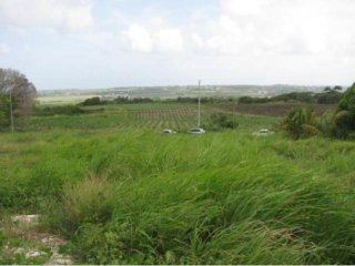 Property For Sale: Sunrise Meadows Lots..