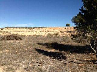 Land For Sale In Valle Del Sol Sps6429