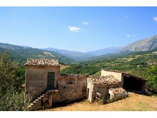 2 houses, outbuilding, small olive..