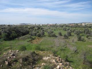 Building Plot For Sale - Loule