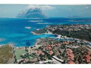 1 Bedroom - Apartment - For Sale
