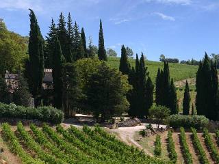 10 Bedrooms - Vineyard -..