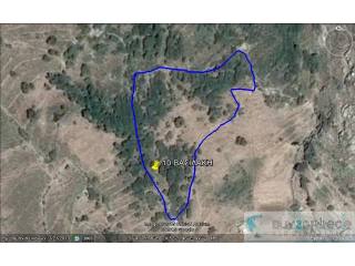 Β-466.FOR SALE LAND 6000m2 AT VASILAKI..