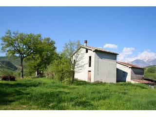2 detached houses, olive grove and barn..