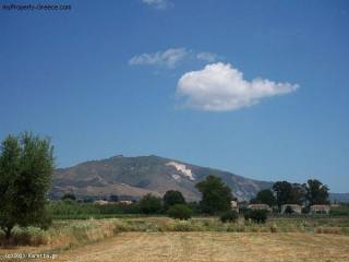 Land - Zakynthos - For Sale