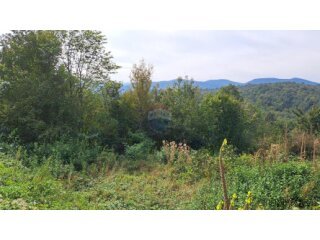 Matulji,Brdce,šumsko zemljište