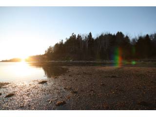 Land For Sale: 125 Mason's Point Road..
