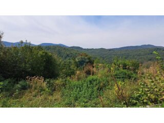 Okolica Pasjaka ,starina,ruševina,s okućnicom