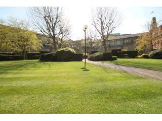 1 bed flat to rent