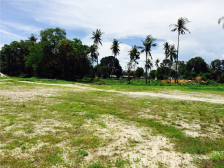 Beachside 29+ Rai Flat Land in Mai Khao