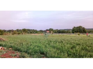 Istra, Marčana, vikend zemljište u Marčani 2660m2
