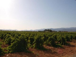 5 Plots With Licence In Santa Maria Del..