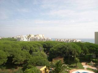 Apartment - Fantastic beachside studio..