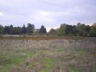 Land in Balchik