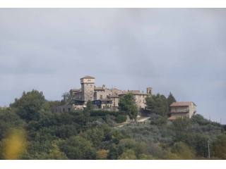 CANALICCHIO DI COLLAZZONE, FARM PLOTS