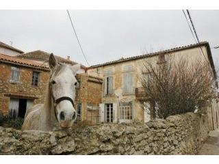 Large Unmodernised Maison De Maitre..