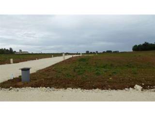 Site