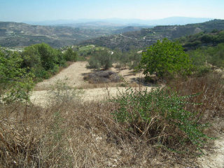 Land - Paphos - For Sale