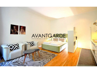 Stylish apartment in the 9th district