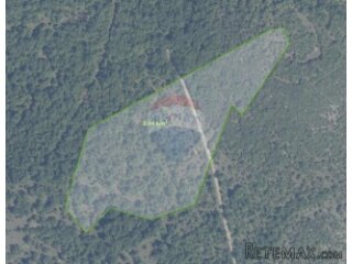Istra, Bale šuma 19000m2
