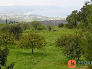 Kinousa Plots, Polis