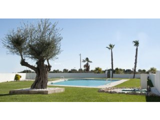 2 Bedrooms - Apartment - Costa Blanca..