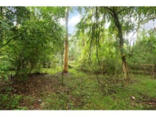Land For Sale: Home