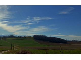 Hilltop House With Panoramic View..