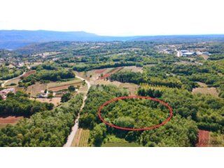 PROSTRANA ŠUMA POVRŠINE 11669m2, BLIZINA NASELJA!!