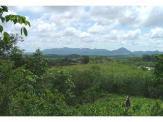 6+ Rai Hillside Land in Bang Tao with..