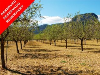 *reserved* Building Plot In The..