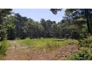 Land For Sale: 147 Peppercorn Lane..